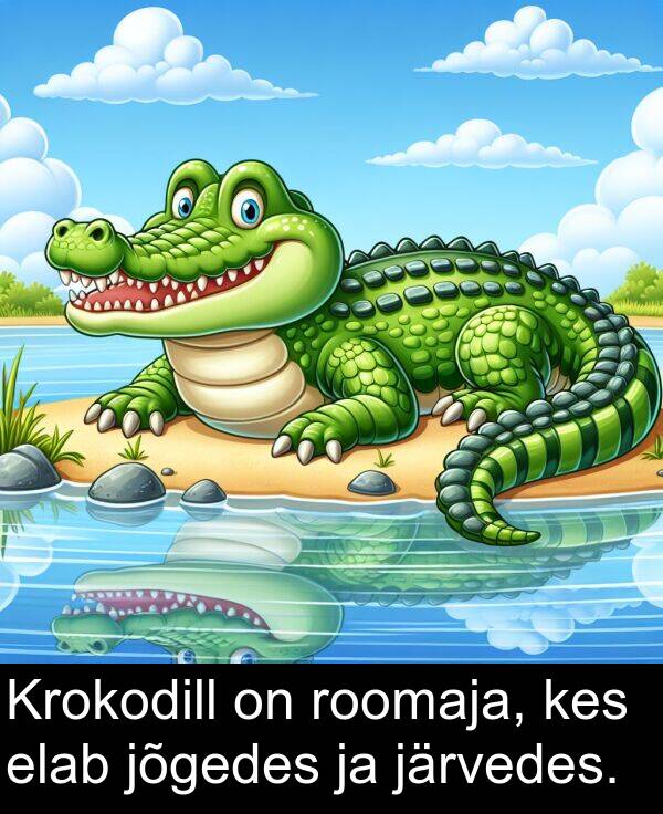 kes: Krokodill on roomaja, kes elab jõgedes ja järvedes.