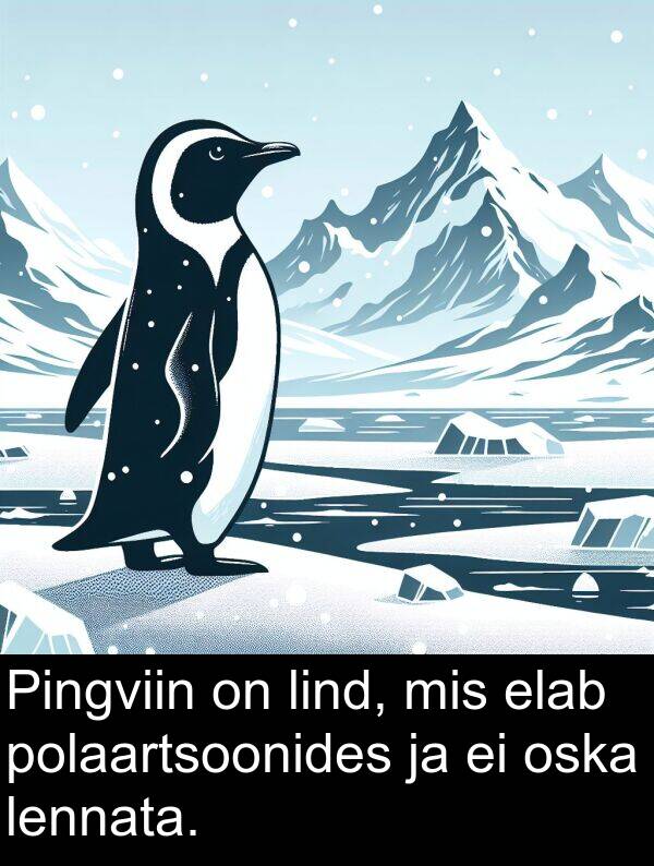 lind: Pingviin on lind, mis elab polaartsoonides ja ei oska lennata.