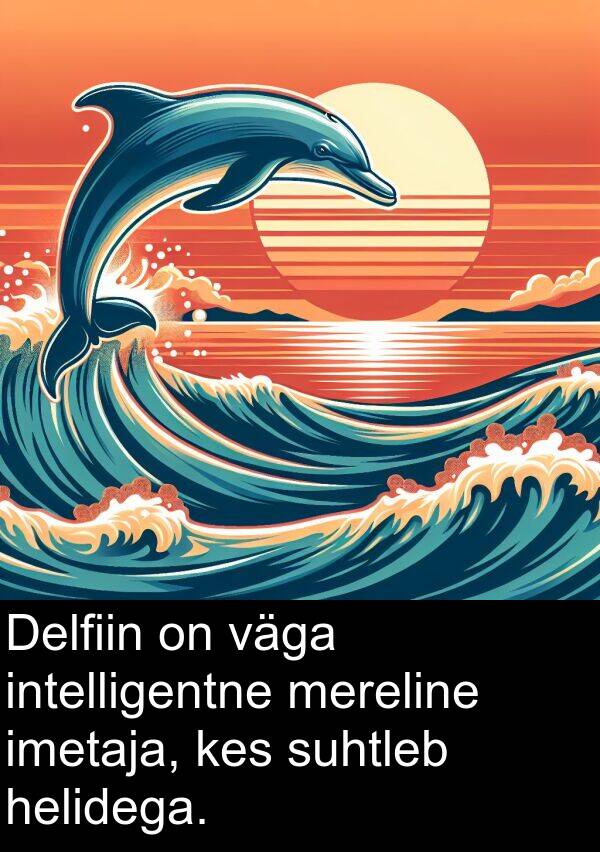 intelligentne: Delfiin on väga intelligentne mereline imetaja, kes suhtleb helidega.