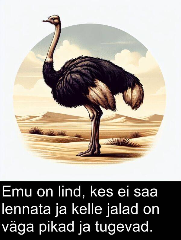 jalad: Emu on lind, kes ei saa lennata ja kelle jalad on väga pikad ja tugevad.