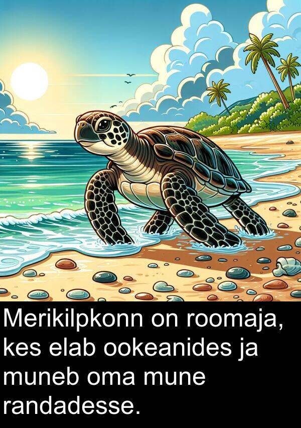 ookeanides: Merikilpkonn on roomaja, kes elab ookeanides ja muneb oma mune randadesse.