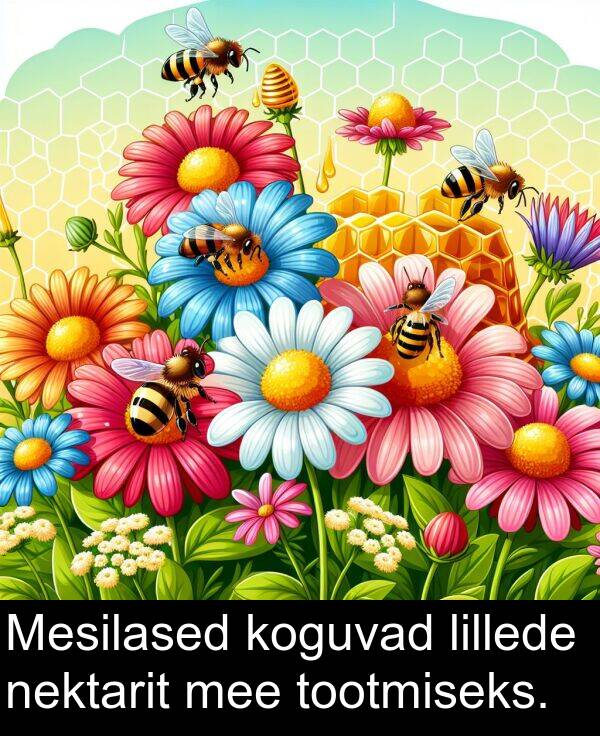 lillede: Mesilased koguvad lillede nektarit mee tootmiseks.