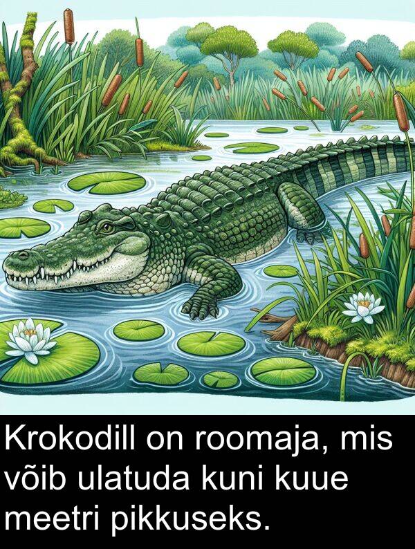 kuni: Krokodill on roomaja, mis võib ulatuda kuni kuue meetri pikkuseks.