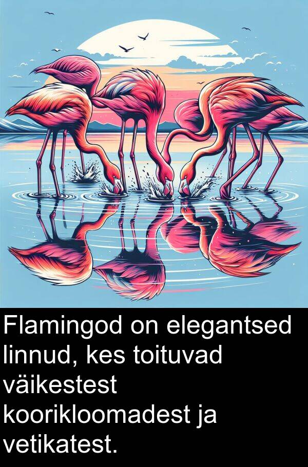 linnud: Flamingod on elegantsed linnud, kes toituvad väikestest koorikloomadest ja vetikatest.