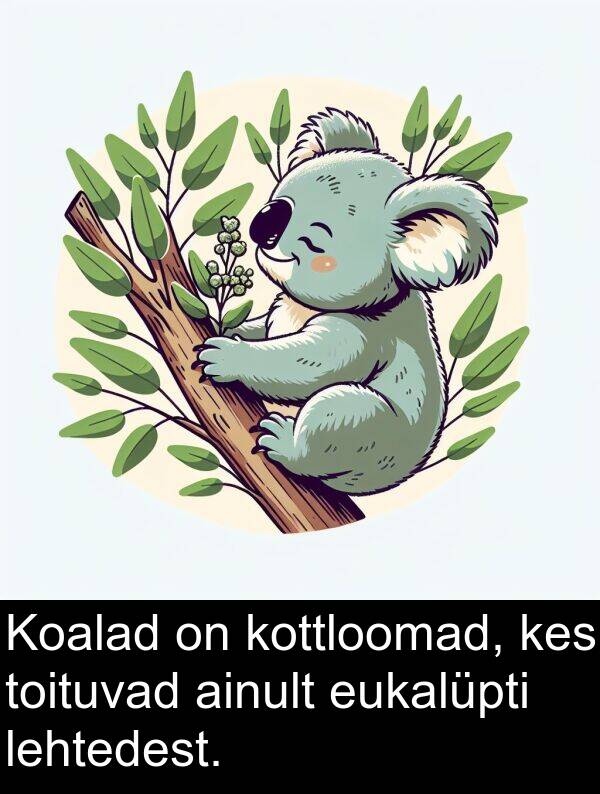 ainult: Koalad on kottloomad, kes toituvad ainult eukalüpti lehtedest.