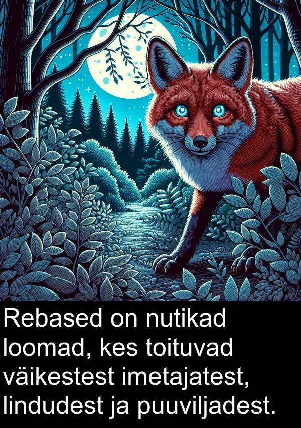 imetajatest: Rebased on nutikad loomad, kes toituvad väikestest imetajatest, lindudest ja puuviljadest.