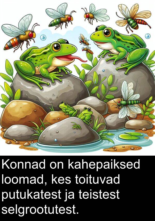 kahepaiksed: Konnad on kahepaiksed loomad, kes toituvad putukatest ja teistest selgrootutest.