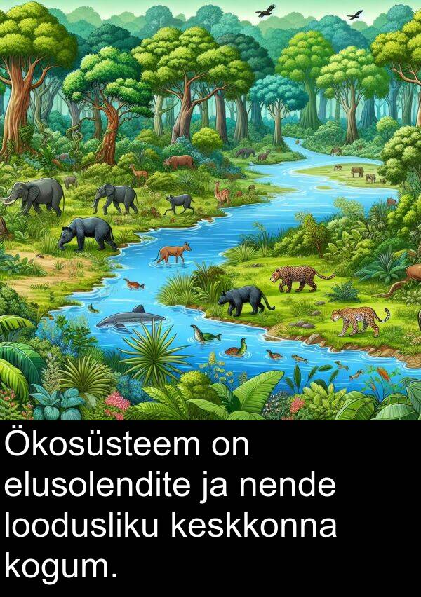 nende: Ökosüsteem on elusolendite ja nende loodusliku keskkonna kogum.