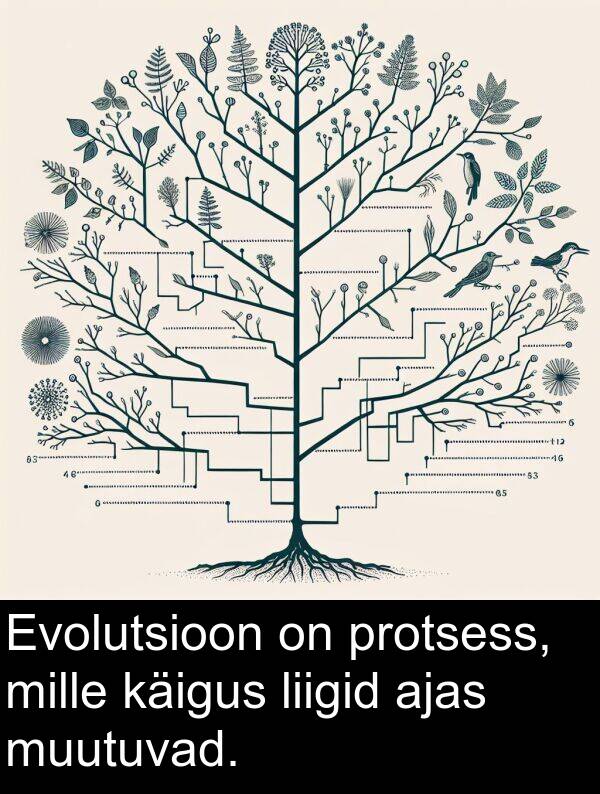 ajas: Evolutsioon on protsess, mille käigus liigid ajas muutuvad.