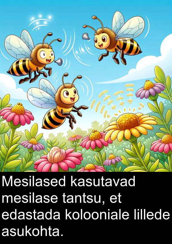 tantsu: Mesilased kasutavad mesilase tantsu, et edastada kolooniale lillede asukohta.