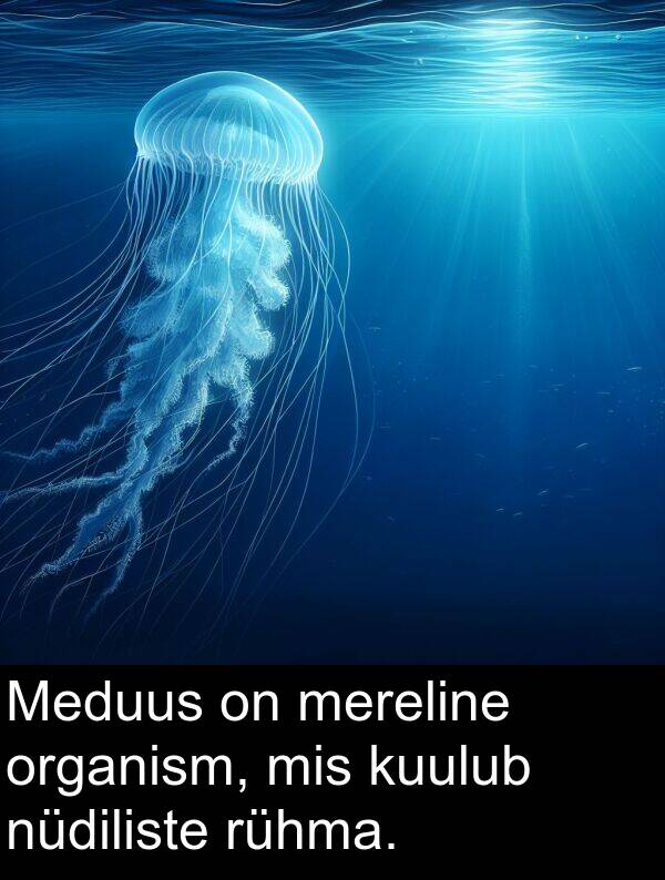 organism: Meduus on mereline organism, mis kuulub nüdiliste rühma.