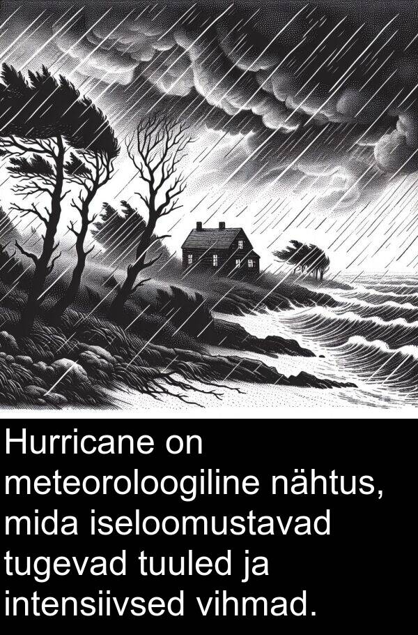 iseloomustavad: Hurricane on meteoroloogiline nähtus, mida iseloomustavad tugevad tuuled ja intensiivsed vihmad.