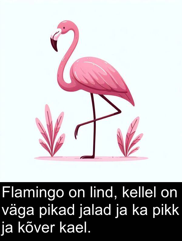 jalad: Flamingo on lind, kellel on väga pikad jalad ja ka pikk ja kõver kael.