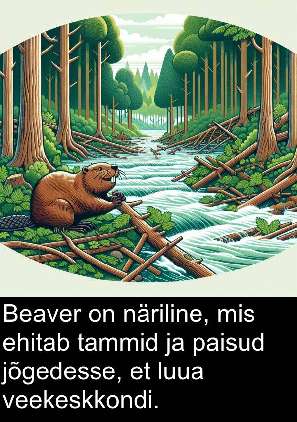 ehitab: Beaver on näriline, mis ehitab tammid ja paisud jõgedesse, et luua veekeskkondi.