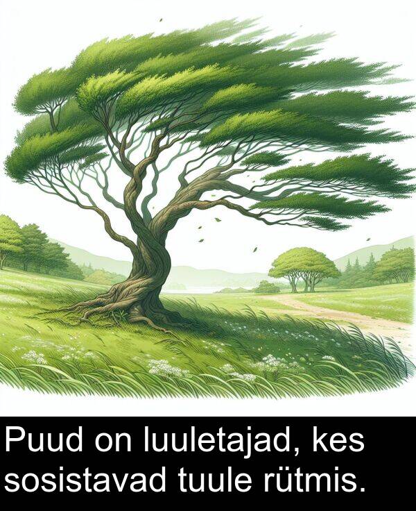 kes: Puud on luuletajad, kes sosistavad tuule rütmis.