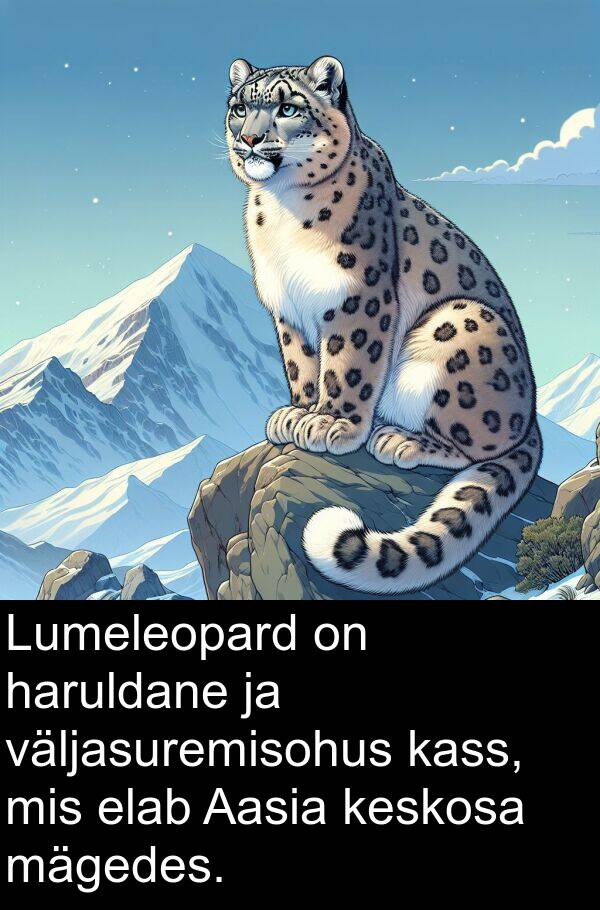 keskosa: Lumeleopard on haruldane ja väljasuremisohus kass, mis elab Aasia keskosa mägedes.