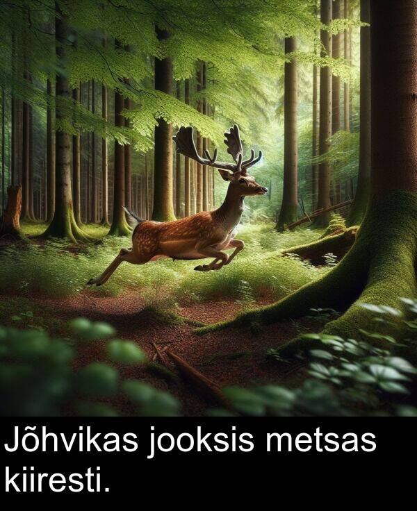 jooksis: Jõhvikas jooksis metsas kiiresti.