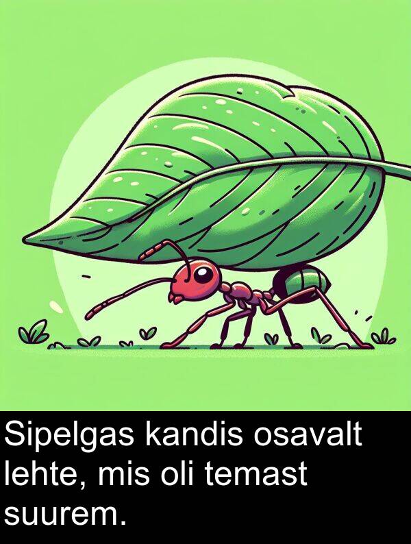 osavalt: Sipelgas kandis osavalt lehte, mis oli temast suurem.