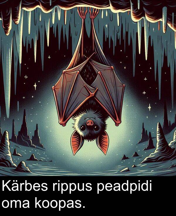 oma: Kärbes rippus peadpidi oma koopas.