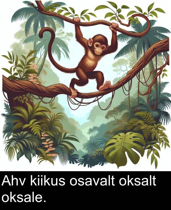 oksale: Ahv kiikus osavalt oksalt oksale.