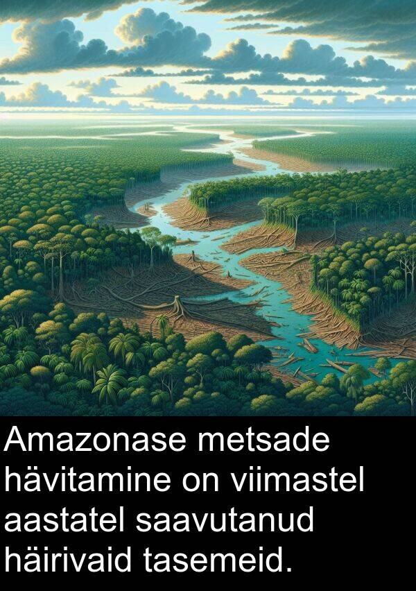 aastatel: Amazonase metsade hävitamine on viimastel aastatel saavutanud häirivaid tasemeid.