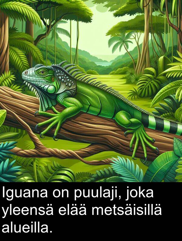 elää: Iguana on puulaji, joka yleensä elää metsäisillä alueilla.