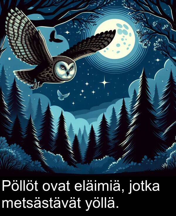 eläimiä: Pöllöt ovat eläimiä, jotka metsästävät yöllä.