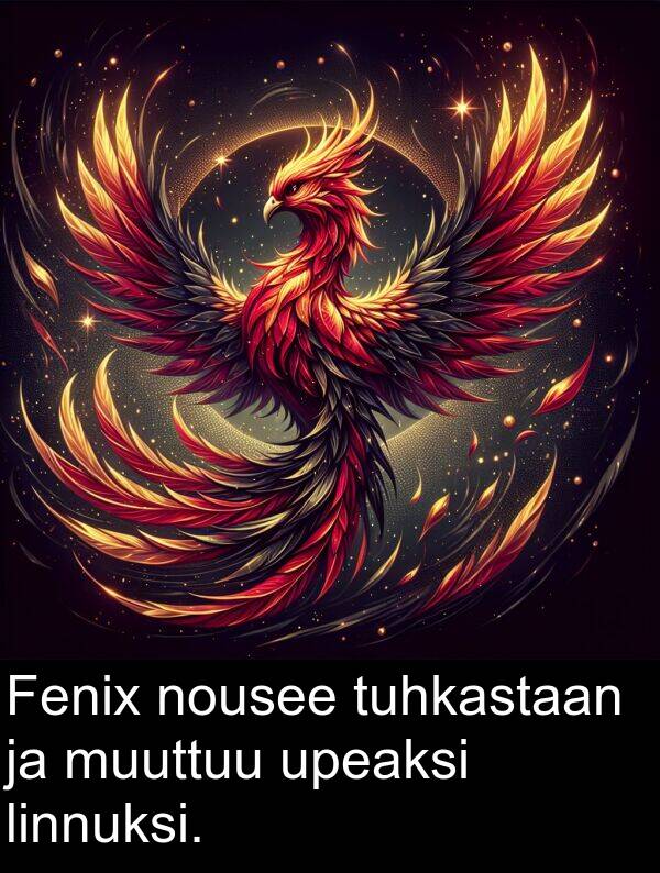 nousee: Fenix nousee tuhkastaan ja muuttuu upeaksi linnuksi.