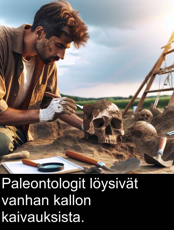 löysivät: Paleontologit löysivät vanhan kallon kaivauksista.