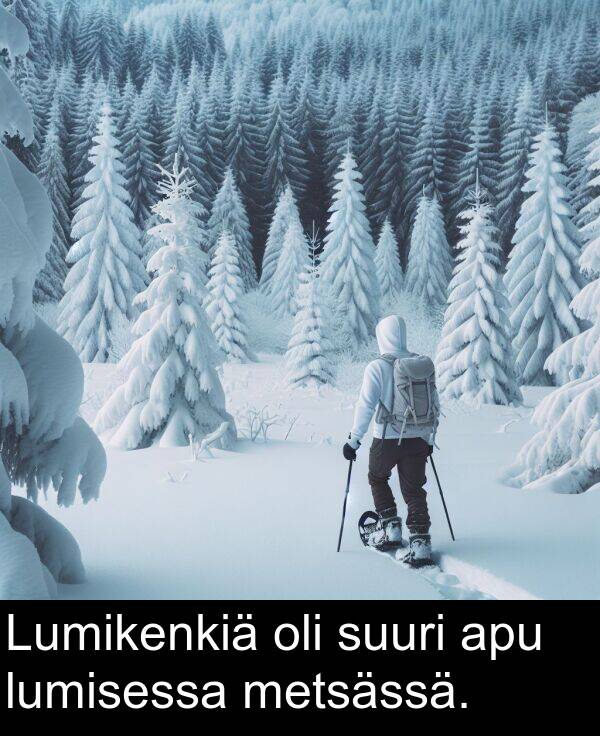 suuri: Lumikenkiä oli suuri apu lumisessa metsässä.