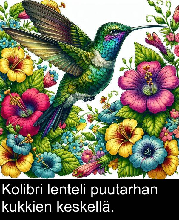 keskellä: Kolibri lenteli puutarhan kukkien keskellä.