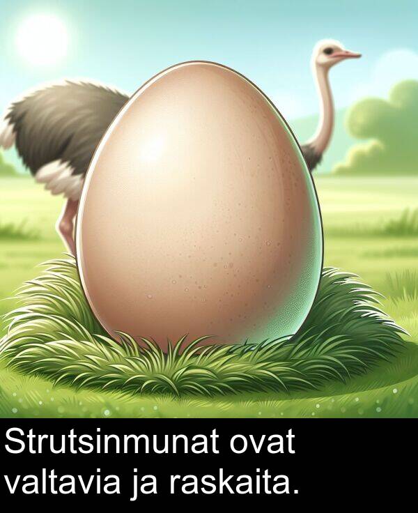 ovat: Strutsinmunat ovat valtavia ja raskaita.