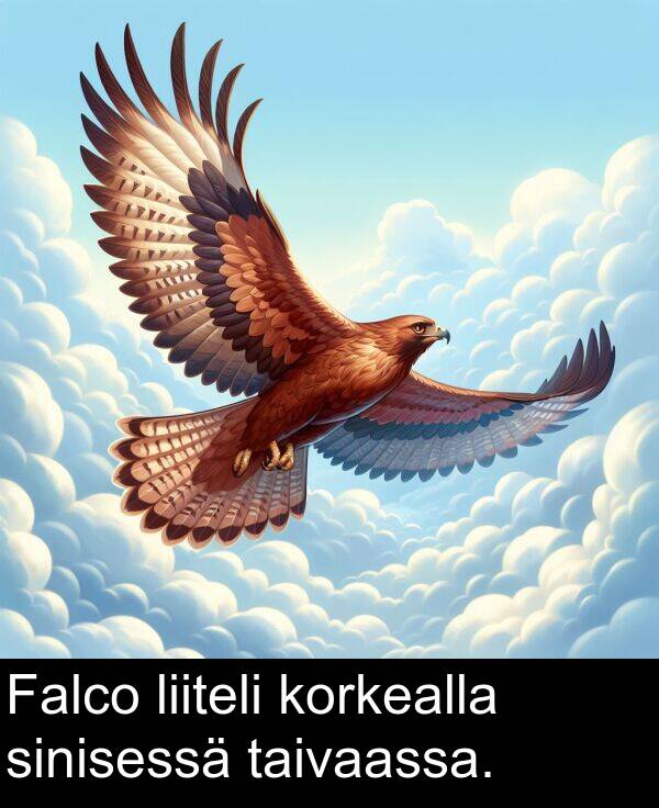 sinisessä: Falco liiteli korkealla sinisessä taivaassa.