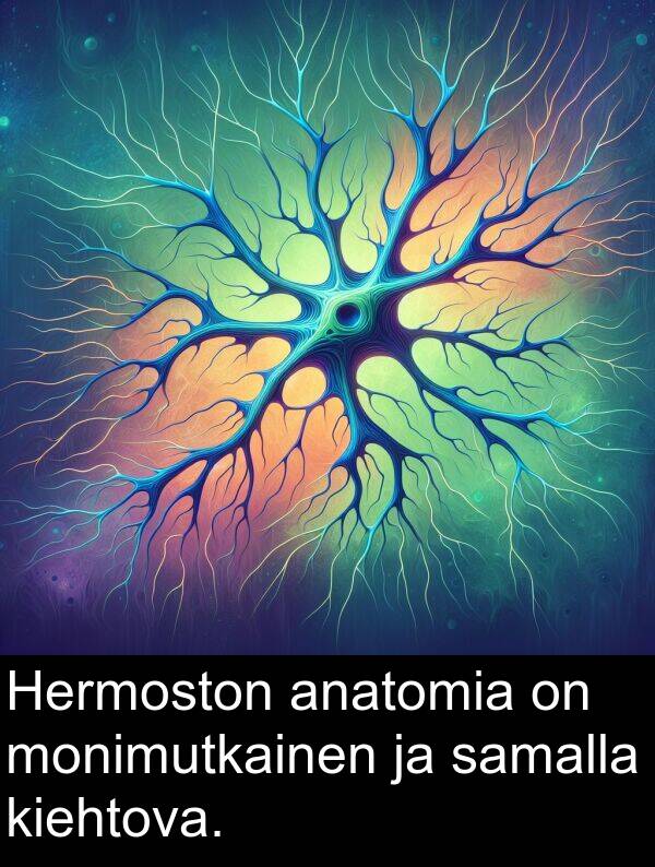 anatomia: Hermoston anatomia on monimutkainen ja samalla kiehtova.