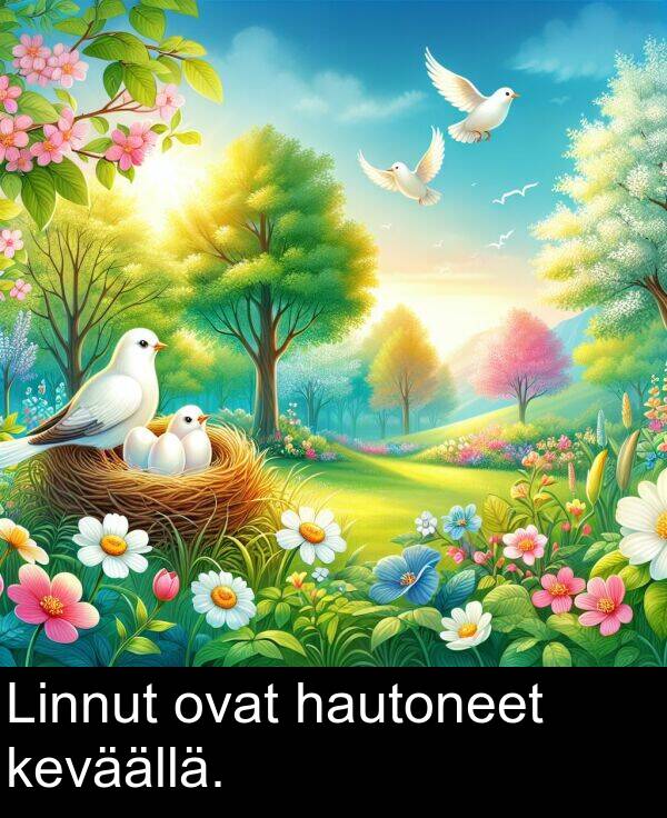 ovat: Linnut ovat hautoneet keväällä.