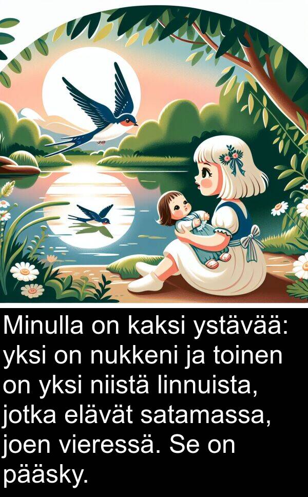 pääsky: Minulla on kaksi ystävää: yksi on nukkeni ja toinen on yksi niistä linnuista, jotka elävät satamassa, joen vieressä. Se on pääsky.