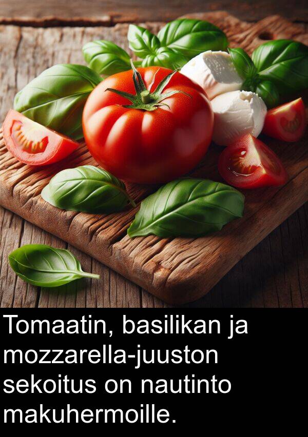 basilikan: Tomaatin, basilikan ja mozzarella-juuston sekoitus on nautinto makuhermoille.