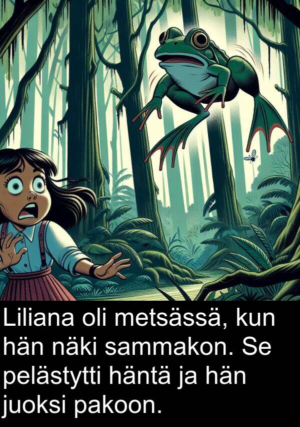 näki: Liliana oli metsässä, kun hän näki sammakon. Se pelästytti häntä ja hän juoksi pakoon.