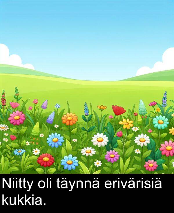 erivärisiä: Niitty oli täynnä erivärisiä kukkia.