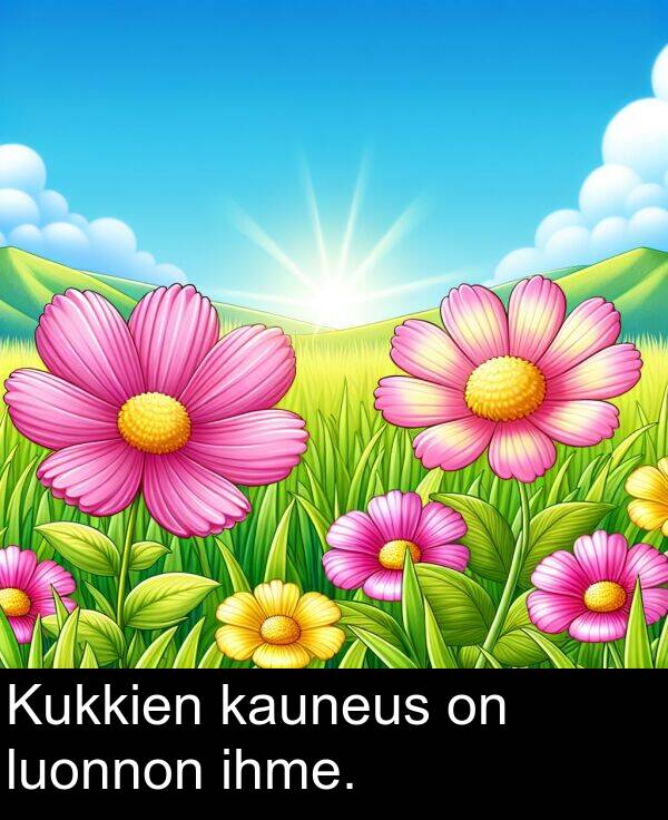 kauneus: Kukkien kauneus on luonnon ihme.