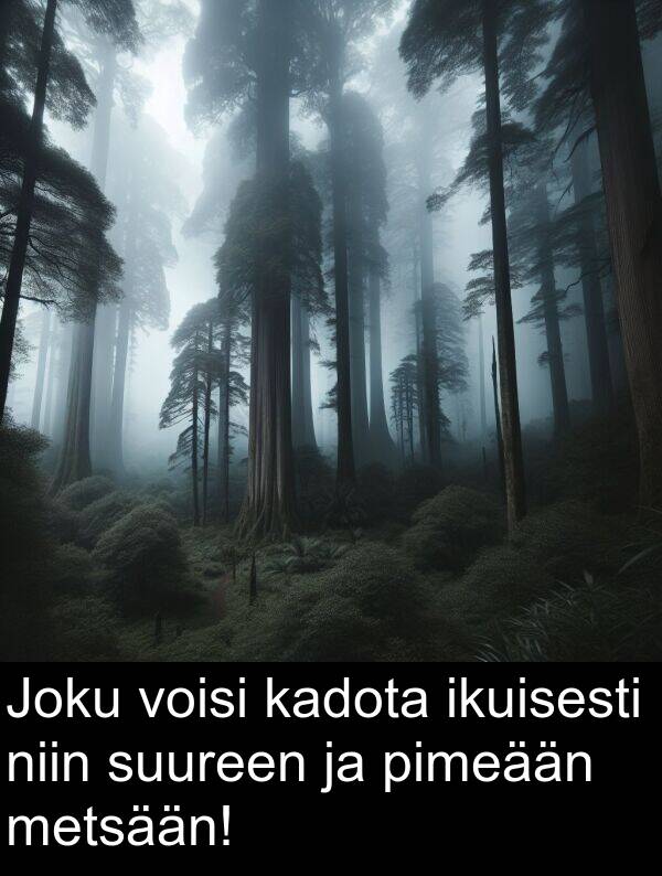 kadota: Joku voisi kadota ikuisesti niin suureen ja pimeään metsään!