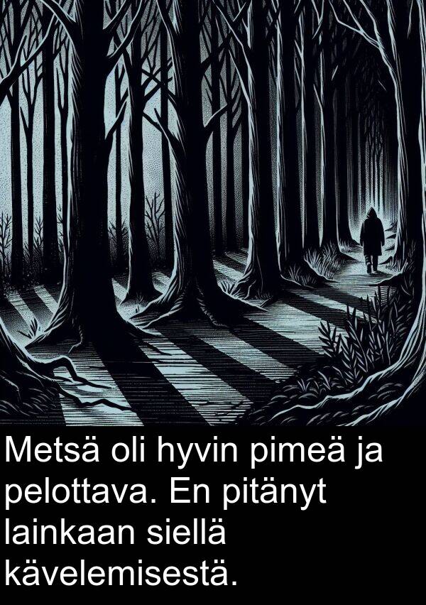 pitänyt: Metsä oli hyvin pimeä ja pelottava. En pitänyt lainkaan siellä kävelemisestä.