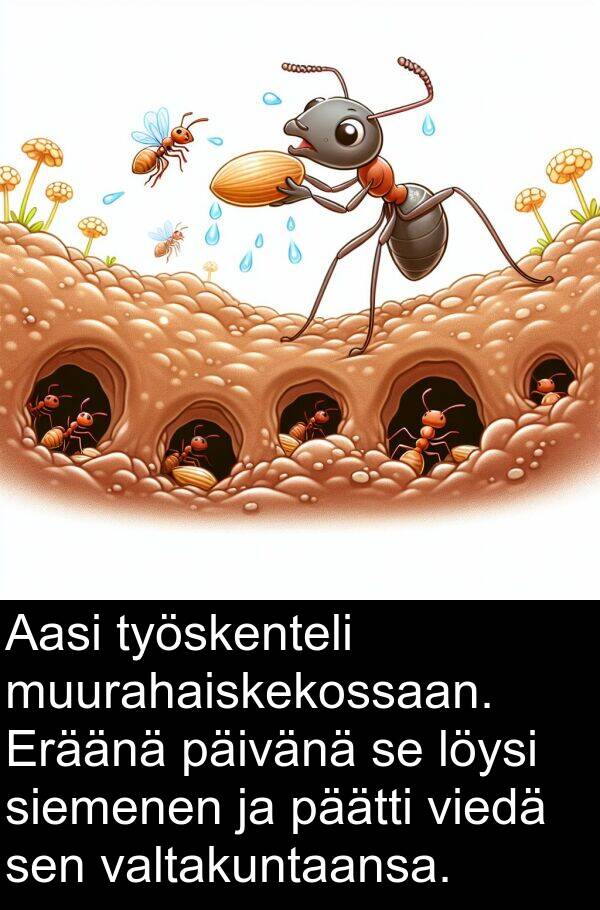 siemenen: Aasi työskenteli muurahaiskekossaan. Eräänä päivänä se löysi siemenen ja päätti viedä sen valtakuntaansa.