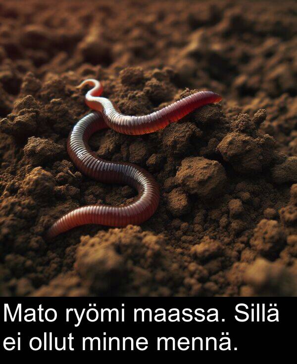 minne: Mato ryömi maassa. Sillä ei ollut minne mennä.