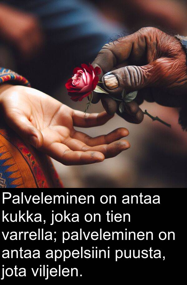 kukka: Palveleminen on antaa kukka, joka on tien varrella; palveleminen on antaa appelsiini puusta, jota viljelen.