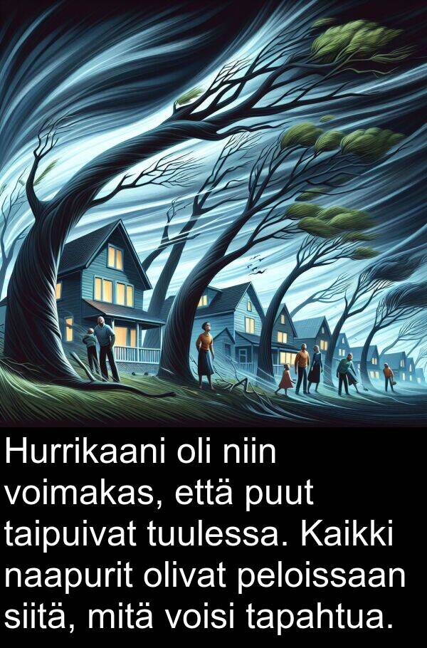 naapurit: Hurrikaani oli niin voimakas, että puut taipuivat tuulessa. Kaikki naapurit olivat peloissaan siitä, mitä voisi tapahtua.