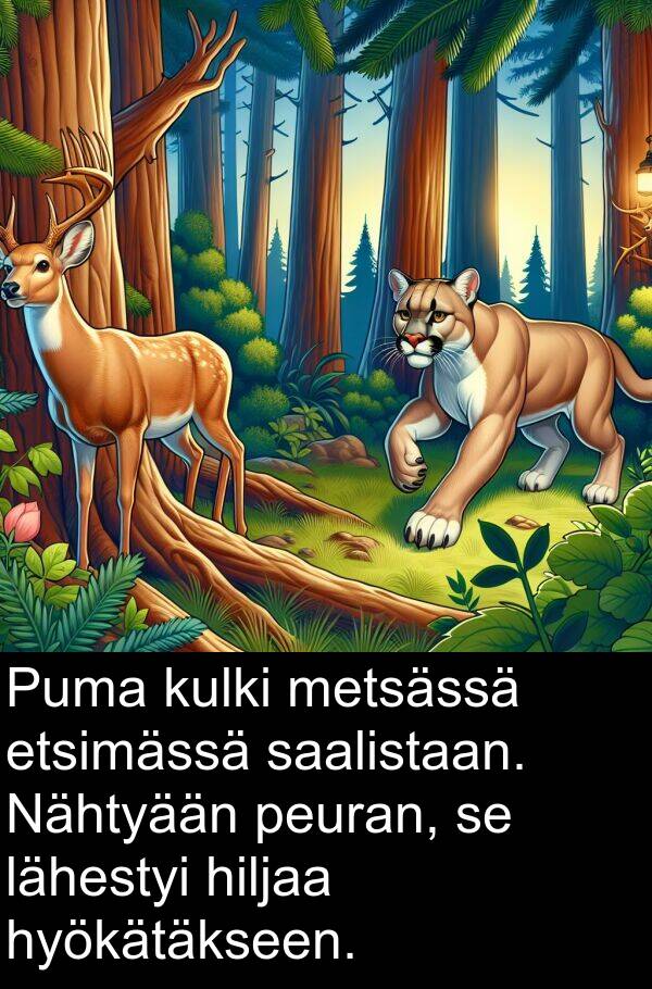 peuran: Puma kulki metsässä etsimässä saalistaan. Nähtyään peuran, se lähestyi hiljaa hyökätäkseen.