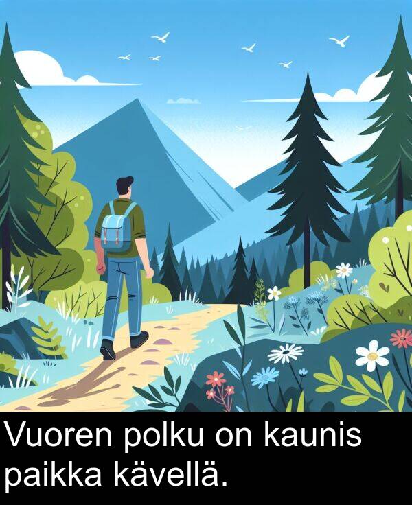 polku: Vuoren polku on kaunis paikka kävellä.