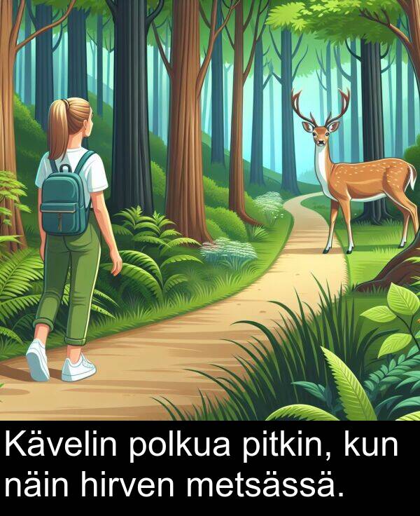 näin: Kävelin polkua pitkin, kun näin hirven metsässä.