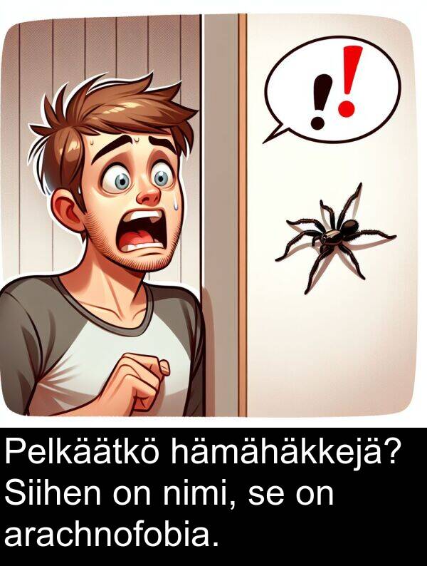 hämähäkkejä: Pelkäätkö hämähäkkejä? Siihen on nimi, se on arachnofobia.